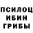 Псилоцибиновые грибы ЛСД Polina Alchikhanova