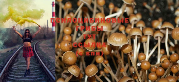 Альфа ПВП Россошь