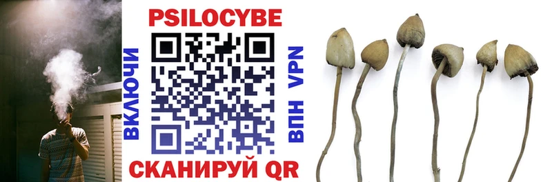 где купить наркотик  Урай  Галлюциногенные грибы Psilocybe 